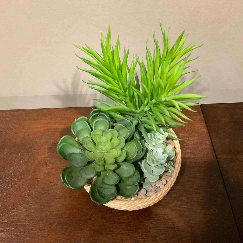 Faux Lavender or Succulents in Flower Pots 🪴